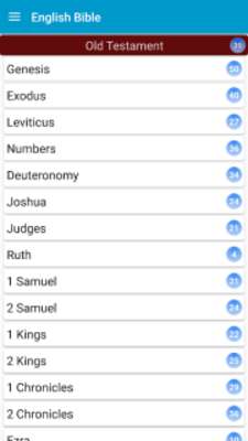 Play English Bible For Everyone 