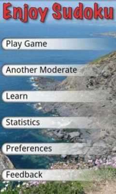 Play Enjoy Sudoku 