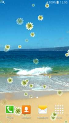 Play Exotic Hawaii Live Wallpapers 