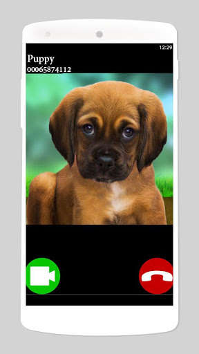 Play APK fake call video puppy game  and enjoy fake call video puppy game with UptoPlay com.PuppyFakeVideoCall