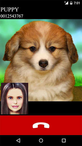 Play APK fake call video puppy game  and enjoy fake call video puppy game with UptoPlay com.PuppyFakeVideoCall