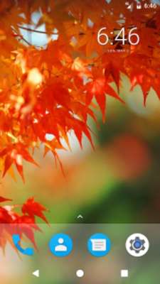 Play Fallen Leaves HD Wallpapers 