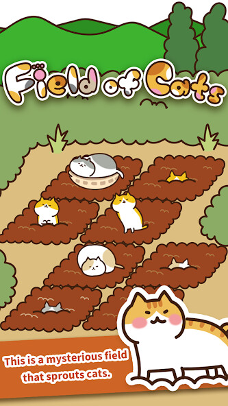 Play Field of Cats 