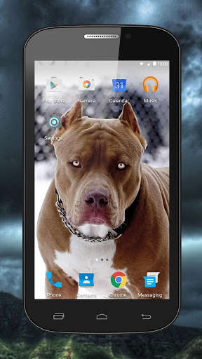 Play APK Fighting Dogs Live Wallpaper  and enjoy Fighting Dogs Live Wallpaper with UptoPlay com.ailot.fighting_dogs_wallpapers