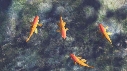 Play APK Fish Sim for Cats  and enjoy Fish Sim for Cats with UptoPlay com.ShadyCrypt.FishSimForCats