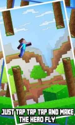 Play Flappy Craft! 