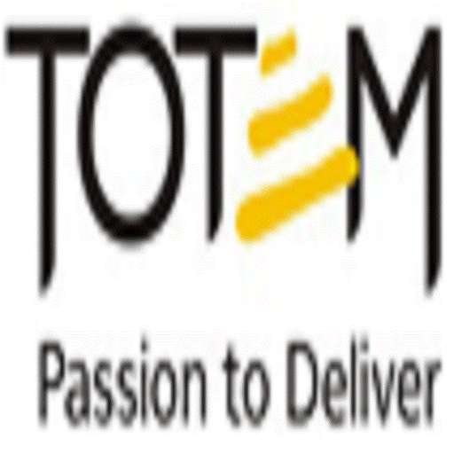 Play APK Flash as torchlight  and enjoy Flash as torchlight with UptoPlay totemflashlight.com