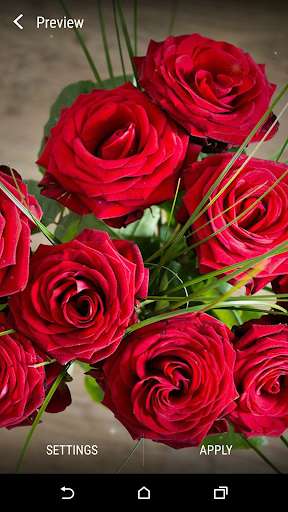 Play APK Flower Bouquets Live Wallpaper and enjoy Flower Bouquets Live Wallpaper with UptoPlay com.FlowerBouquetsLiveWallpaperHD Play APK Flower Bouquets Live Wallpaper and enjoy Flower Bouquets Live Wallpaper with UptoPlay com.FlowerBouquetsLiveWallpaperHD