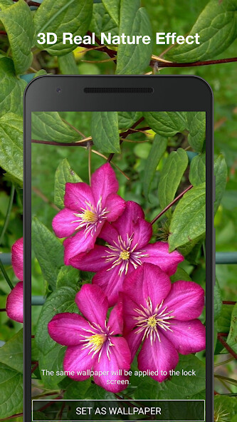 Play Flowers Live Wallpaper 