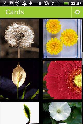 Play APK Flowers Postcards  and enjoy Flowers Postcards with UptoPlay com.roces.flowers