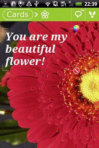 Play APK Flowers Postcards  and enjoy Flowers Postcards with UptoPlay com.roces.flowers