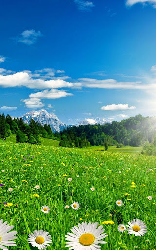 Play APK Flower Spring Live Wallpaper  and enjoy Flower Spring Live Wallpaper with UptoPlay com.GalaxyS5SpringLWPPRO