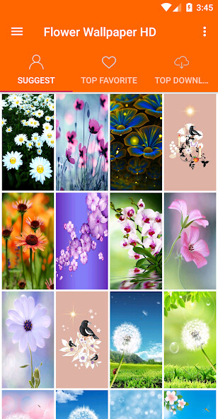 Play APK Flowers Wallpaper 4K  and enjoy Flowers Wallpaper 4K with UptoPlay com.flower.wallpapers.liveQHD