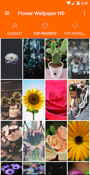 Play APK Flowers Wallpaper 4K  and enjoy Flowers Wallpaper 4K with UptoPlay com.flower.wallpapers.liveQHD