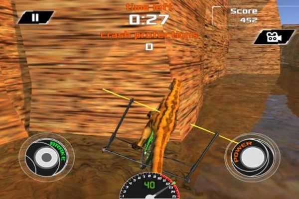 Play Flying Dinosaur Race Simulator 