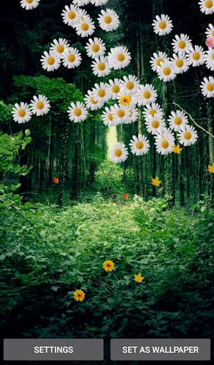 Play Forest Live Wallpapers Play Forest Live Wallpapers