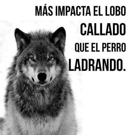 Play APK Frases Sabias Imagenes HD  and enjoy Frases Sabias Imagenes HD with UptoPlay com.megadreamsmobile.frasessabiasimageneshd