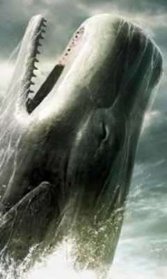 Play free killer whale wallpaper 