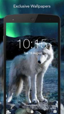 Play Free Night Wolf Wallpaper 