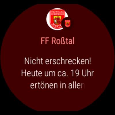 Play Freiwillige Feuerwehr Roßtal 