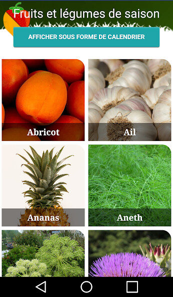 Play Fruits et légumes de saison 