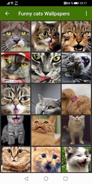 Play APK Funny cats Wallpapers  and enjoy Funny cats Wallpapers with UptoPlay com.Infinity.funnycats
