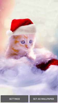 Play Funny Christmas Wallpaper 