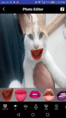Play Funny Face Editor 