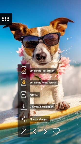 Play Funny Wallpapers 