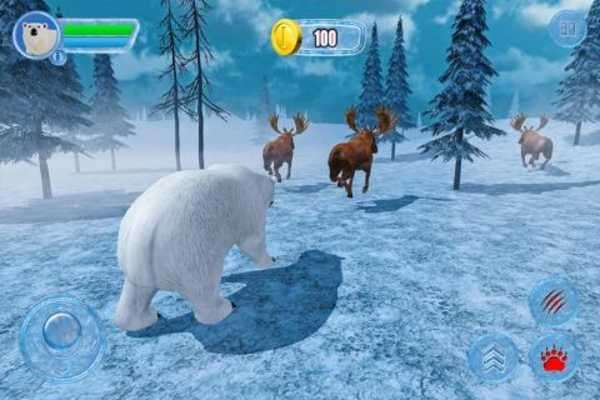 Play Furious Polar Bear Simulator 