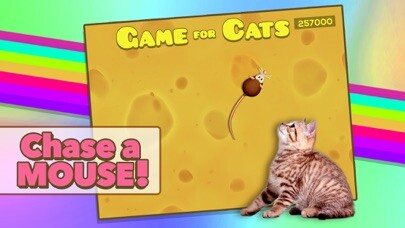 Play APK Game for Cats  and enjoy Game for Cats with UptoPlay com.KonstantinTrushkov.GameForCats