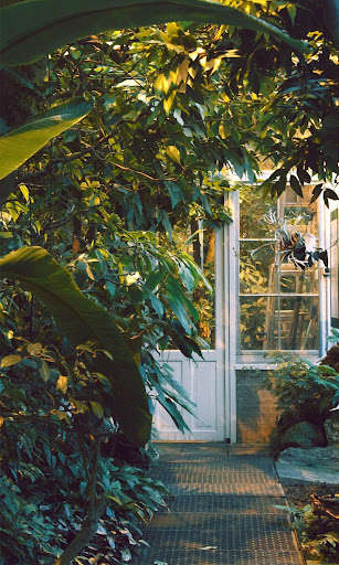 Play Garden HD Wallpapers Play Garden HD Wallpapers