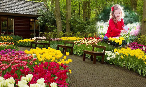 Play Garden Photo Frames HD 