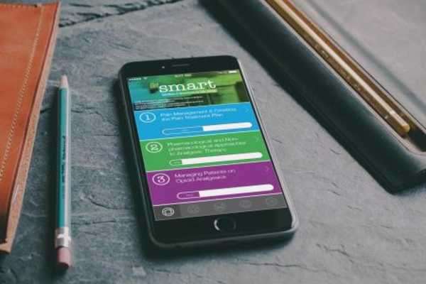 Play Get SMART: pain management education for providers 