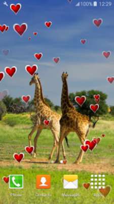 Play Giraffe Live Wallpapers 
