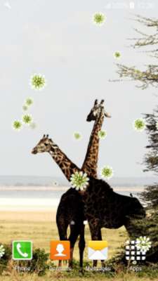 Play Giraffe Live Wallpapers 