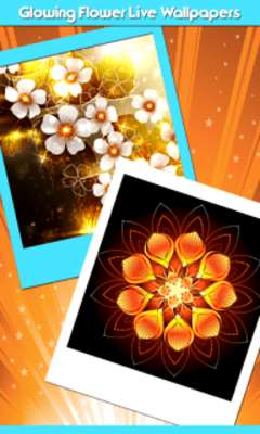 Play Glowing Flower Live Wallpapers 