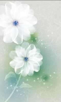 Play Glowing flowers Free 