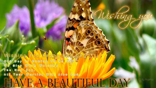 Play Good morning afternoon evening and good night 