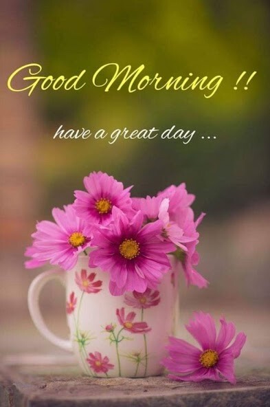 Play APK Good Morning Afternoon Evening Night and enjoy Good Morning Afternoon Evening Night with UptoPlay com.KTConnect.GoodMorningGoodNight Play APK Good Morning Afternoon Evening Night and enjoy Good Morning Afternoon Evening Night with UptoPlay com.KTConnect.GoodMorningGoodNight