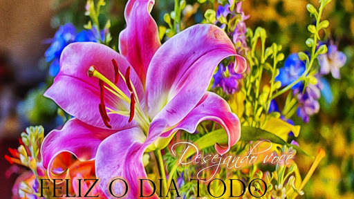 Play APK Good morning, afternoon,Good night in Portuguese  and enjoy Good morning, afternoon,Good night in Portuguese using ApkO