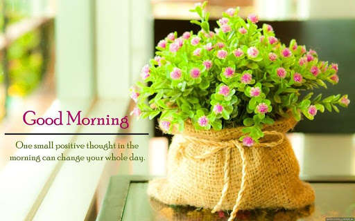 Play APK Good Morning Images Pro  and enjoy Good Morning Images Pro with UptoPlay com.kingoapps.pic.mng