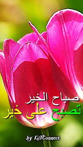 Play APK Good Morning in Arabic  and enjoy Good Morning in Arabic with UptoPlay com.KTConnect.GoodMorningAr