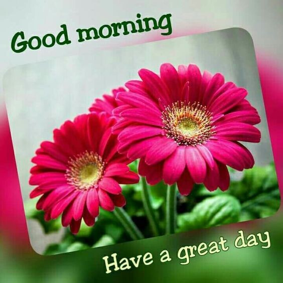Play Good Morning & Night Messages  and enjoy Good Morning & Night Messages with UptoPlay