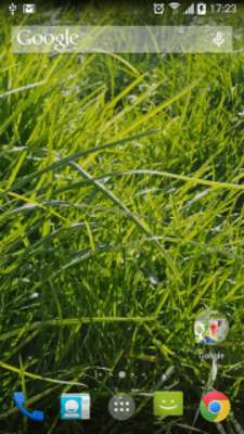 Play Grass Real Live Wallpaper Play Grass Real Live Wallpaper