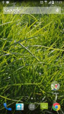 Play Grass Real Live Wallpaper Play Grass Real Live Wallpaper