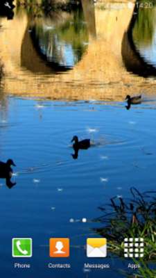 Play Great Ducks Live Wallpapers 