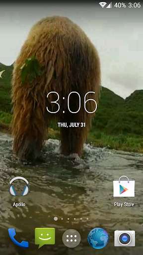Play APK Grizzly HD. Live Wallpaper  and enjoy Grizzly HD. Live Wallpaper with UptoPlay grizzlyhd.tbem.com