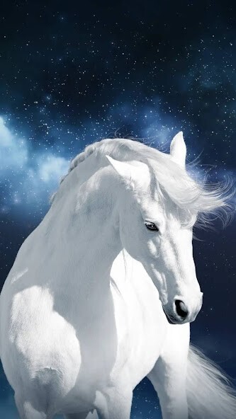 Play HD Horse wallpapers 