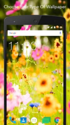 Play HD Summer Flower Wallpaper 